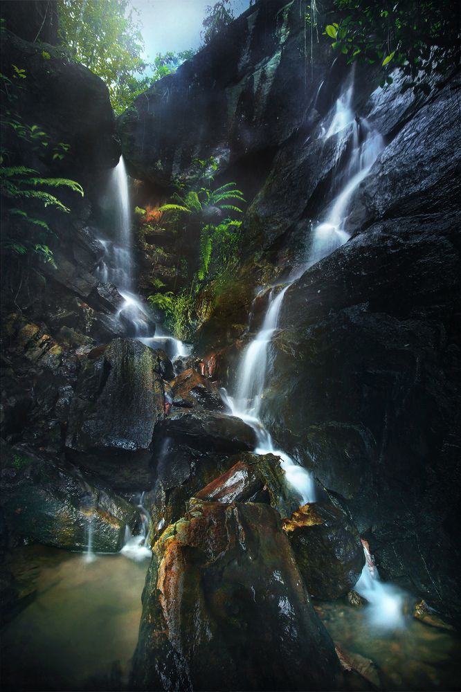 Photograph by Amila Hewagama