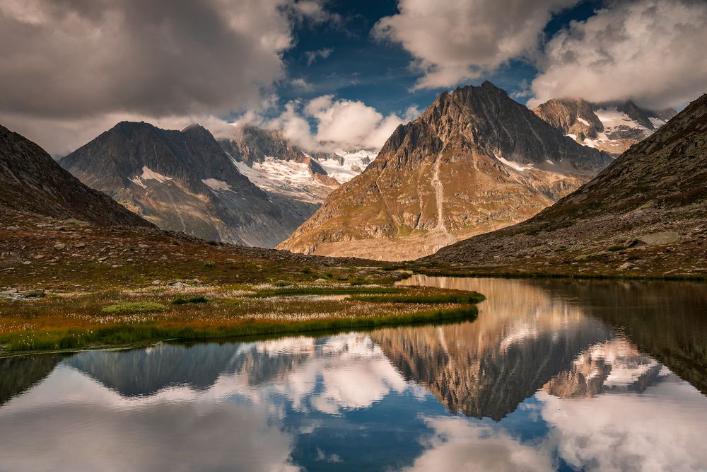 Photograph by Anna Bera