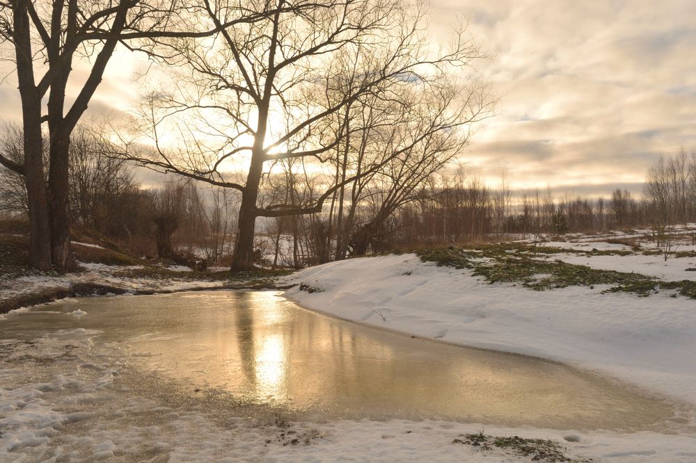 Photograph by Светлана Агапова