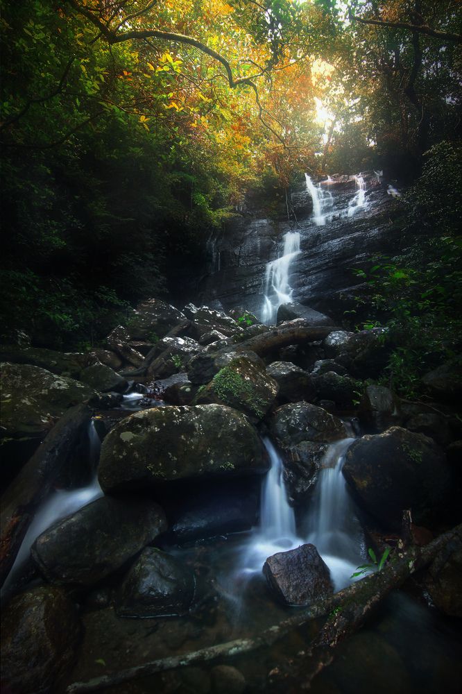 Photograph by Amila Hewagama