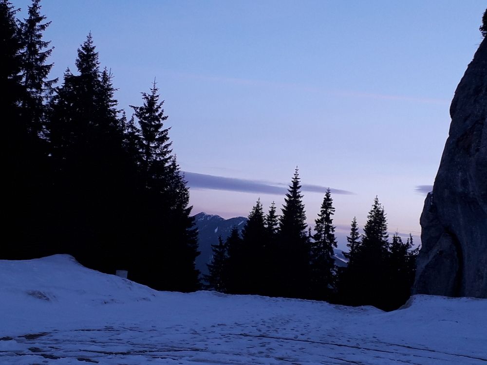 Photo #7025712