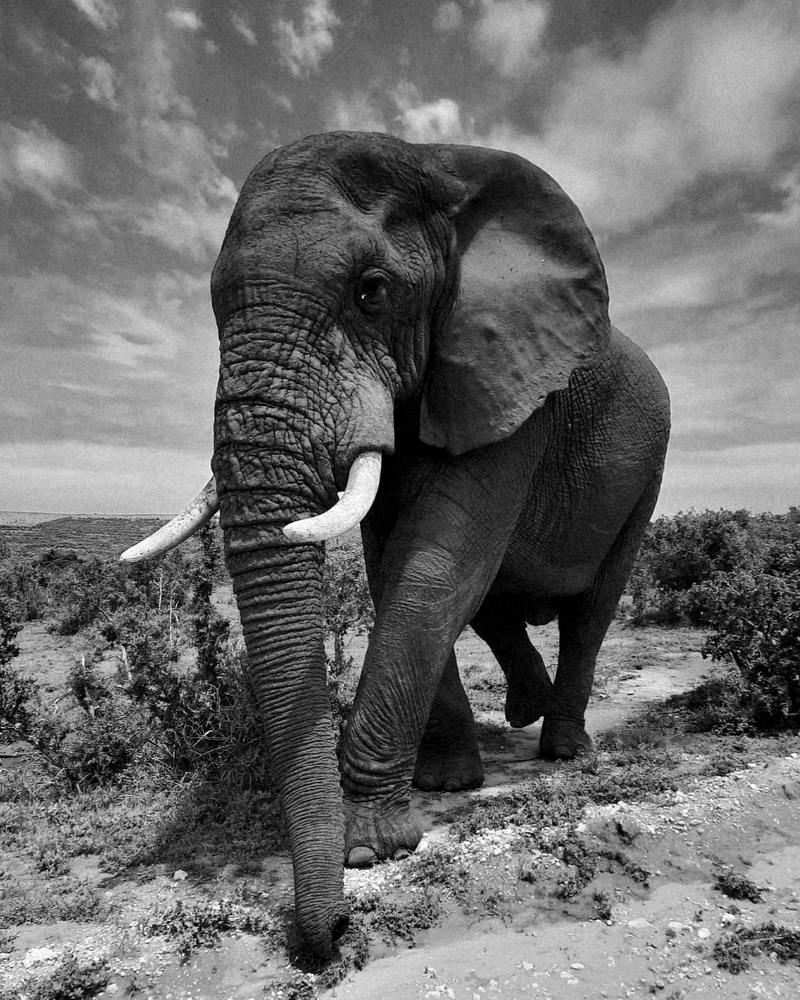 Photograph by Luke Beckmann