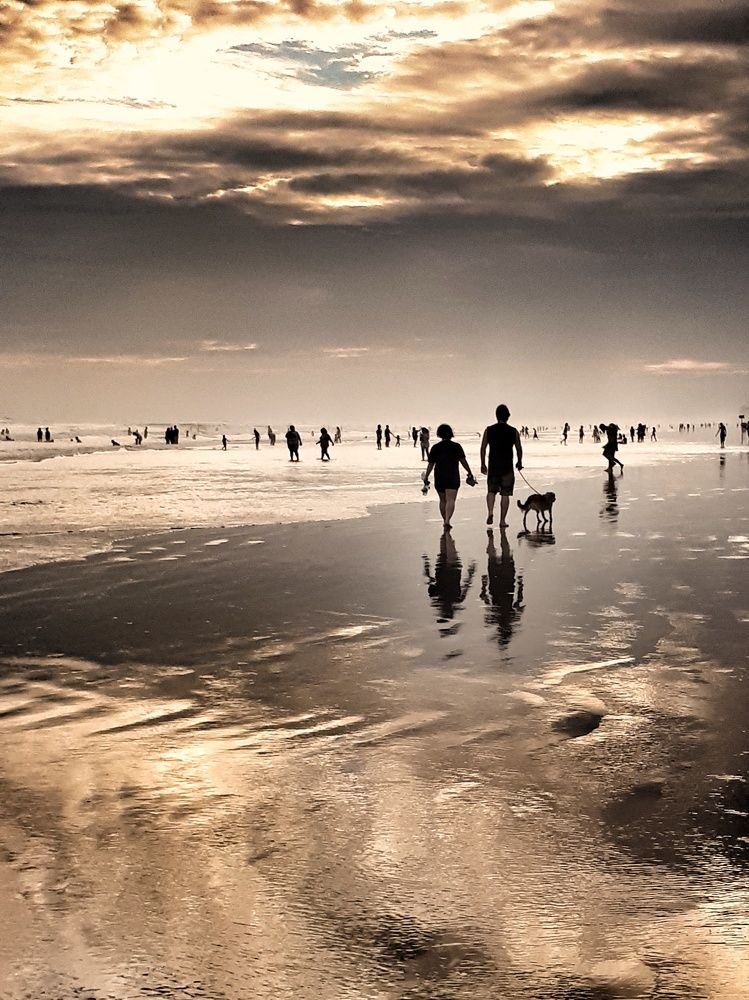 Фотография автора Marcia de Freitas Araujo