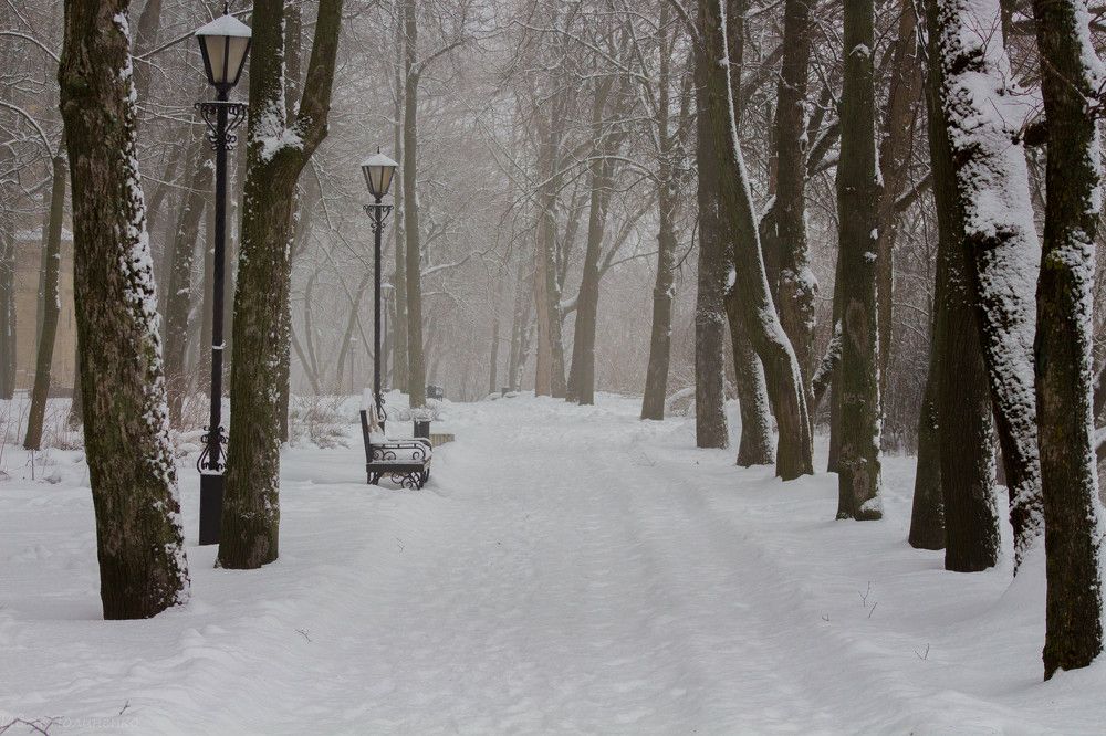 Photograph by Иван Полиненко