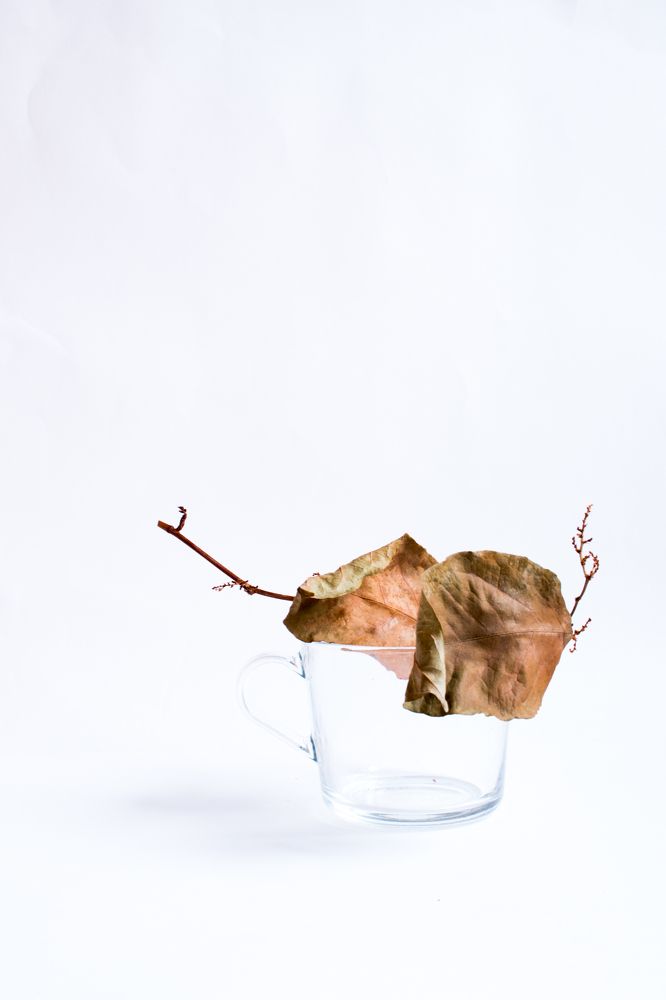 Photograph by Александра Ануфриева