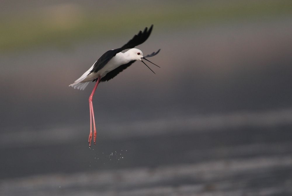 Photograph by Vikram Bahal