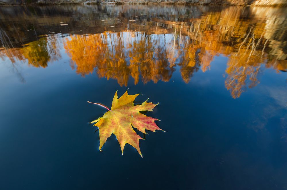 Photograph by SidorOFF Pavel