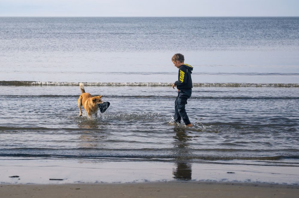 Фотография автора Ольга