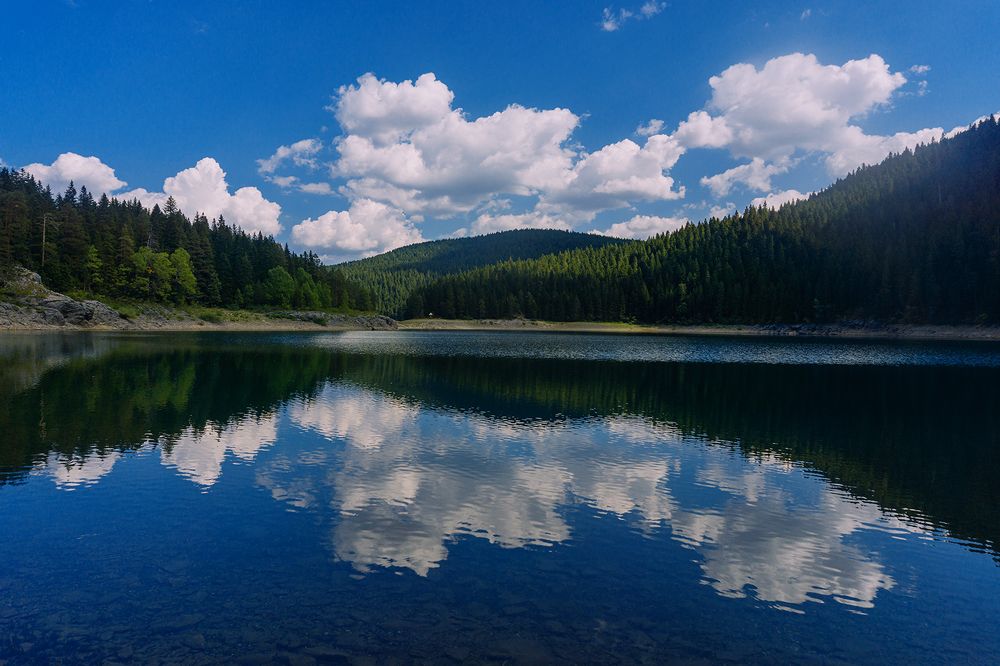 Photograph by Lonely_black_Cat