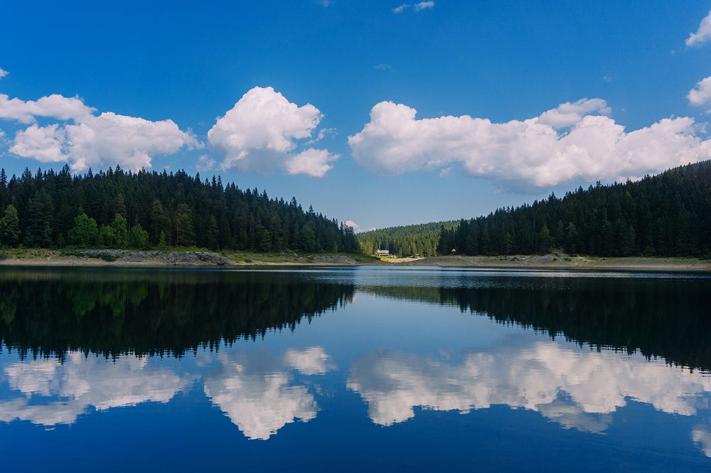 Photograph by Lonely_black_Cat