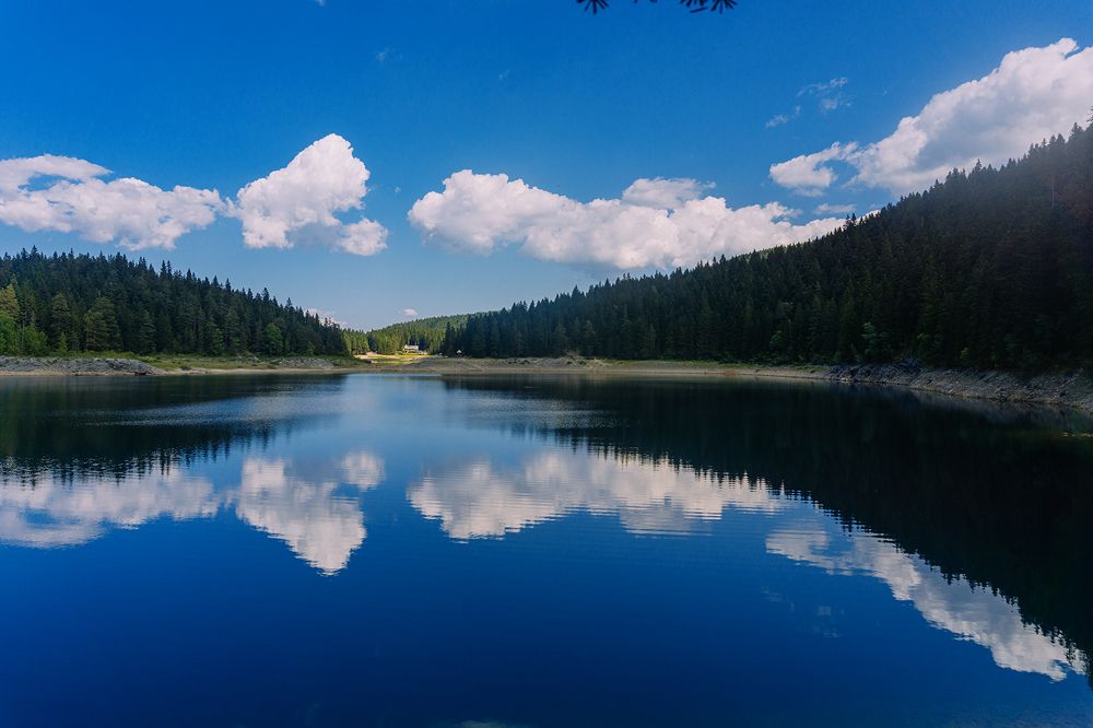 Photograph by Lonely_black_Cat