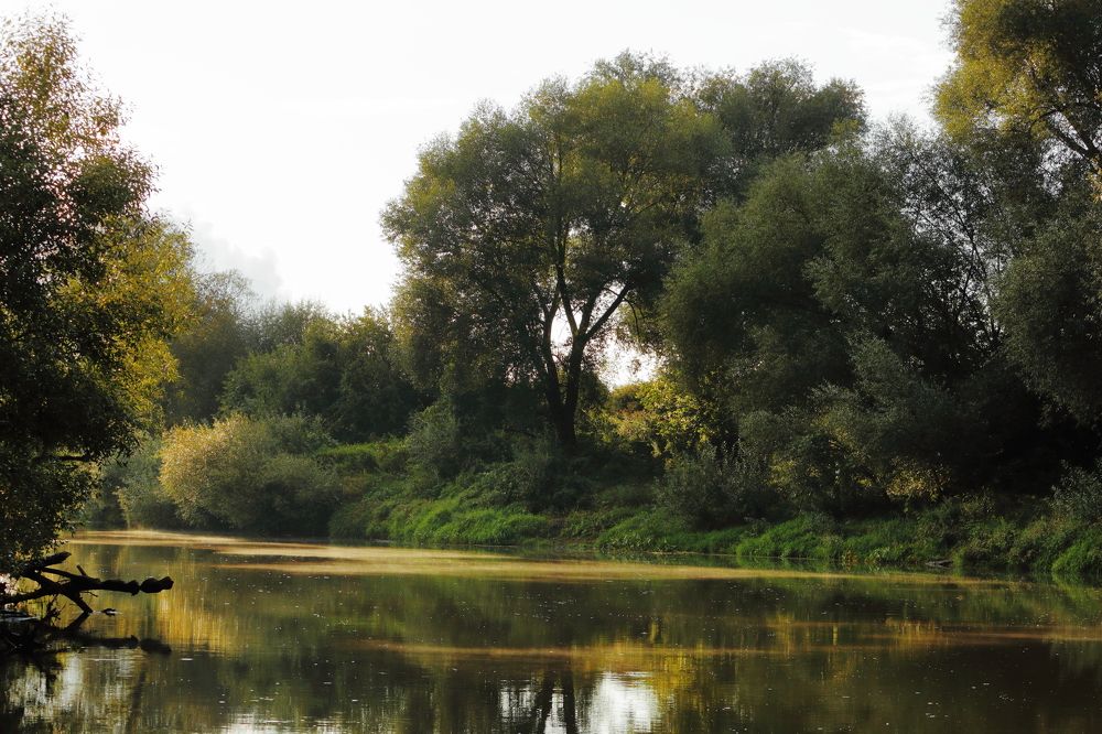 Photograph by Денис Ашуров