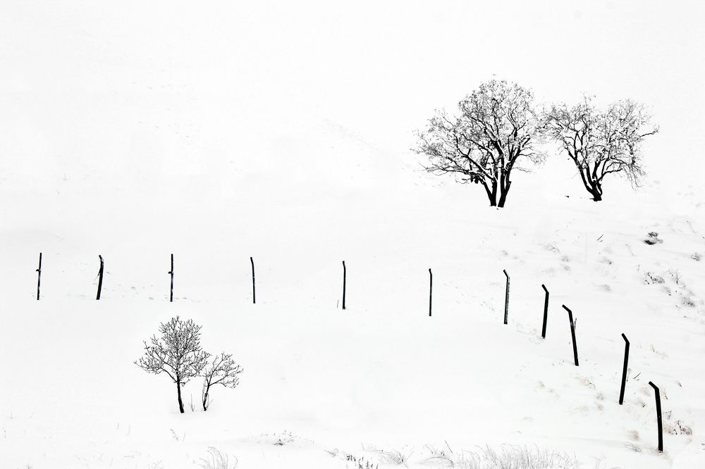 Фотография автора payman Mollaie