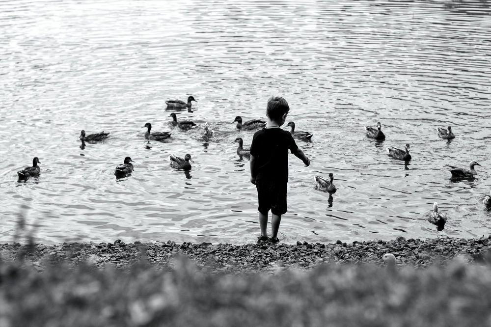 Мальчик с уточками