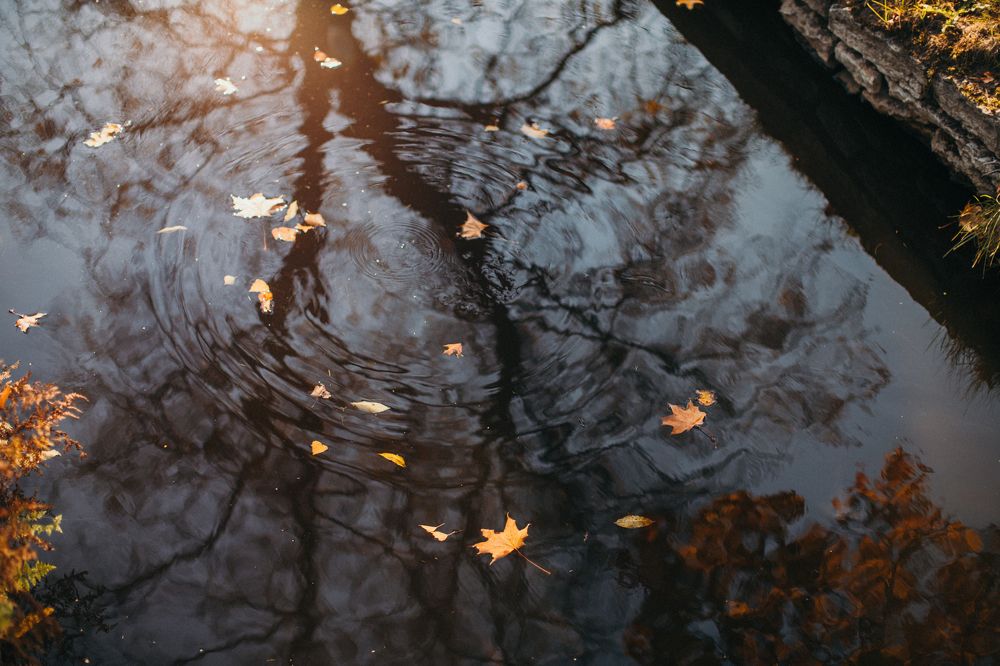 Photograph by Victoria Bereziner