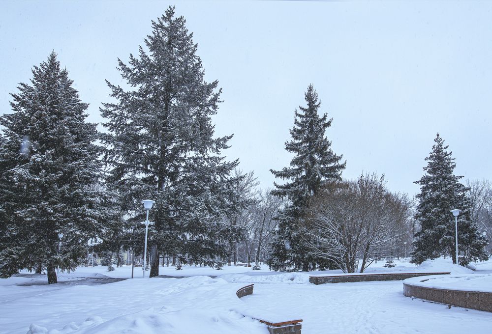 Photograph by Марина Магадиева