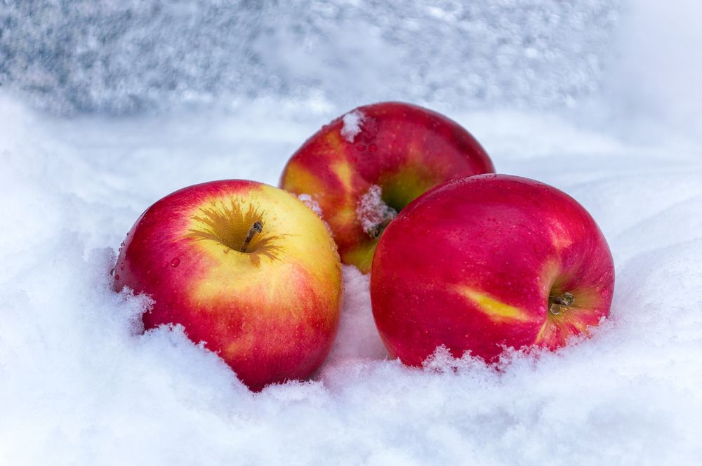 Photograph by Светлана Мельник