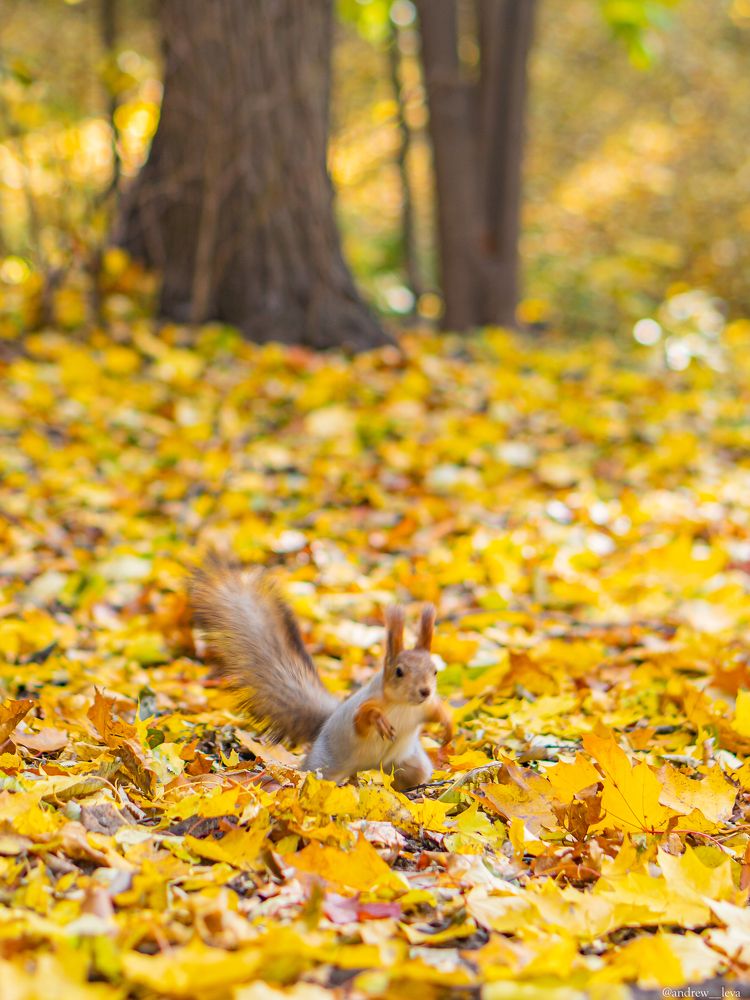 Photograph by Андрей Л