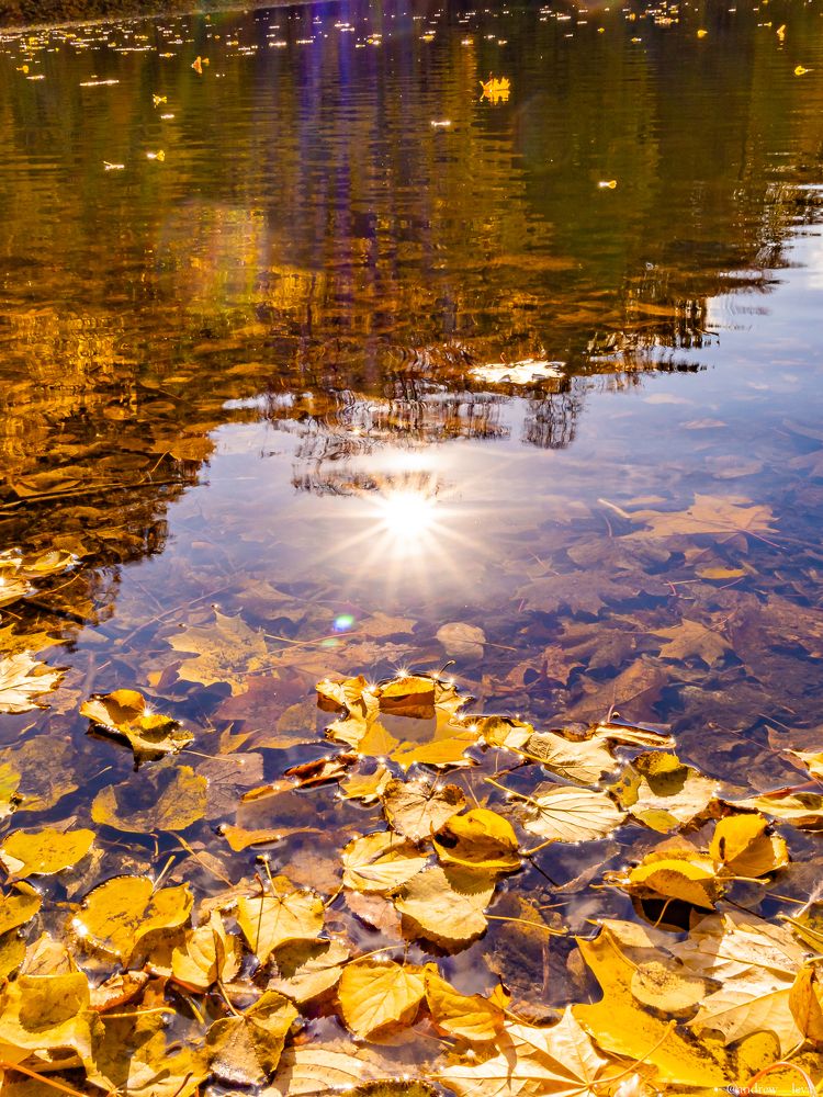 Photograph by Андрей Л