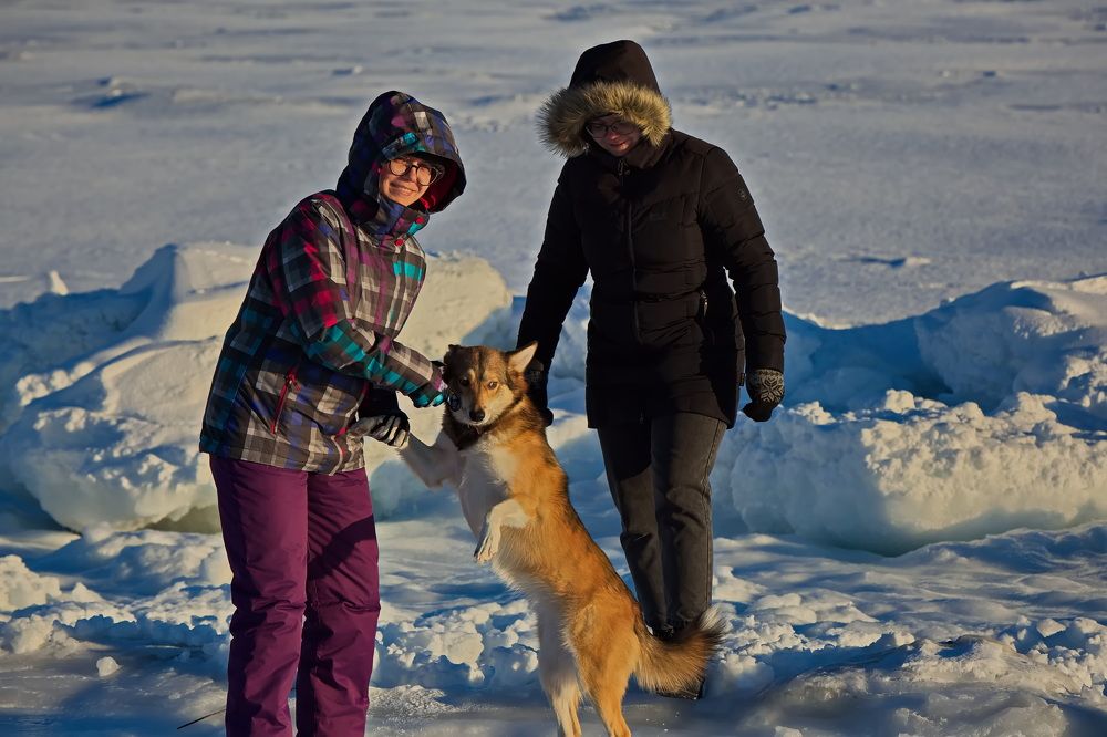 Photograph by Олег Раков