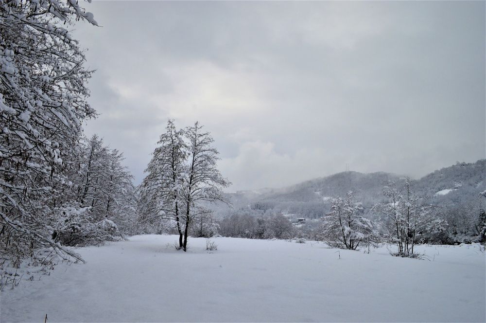 Photograph by Ольга