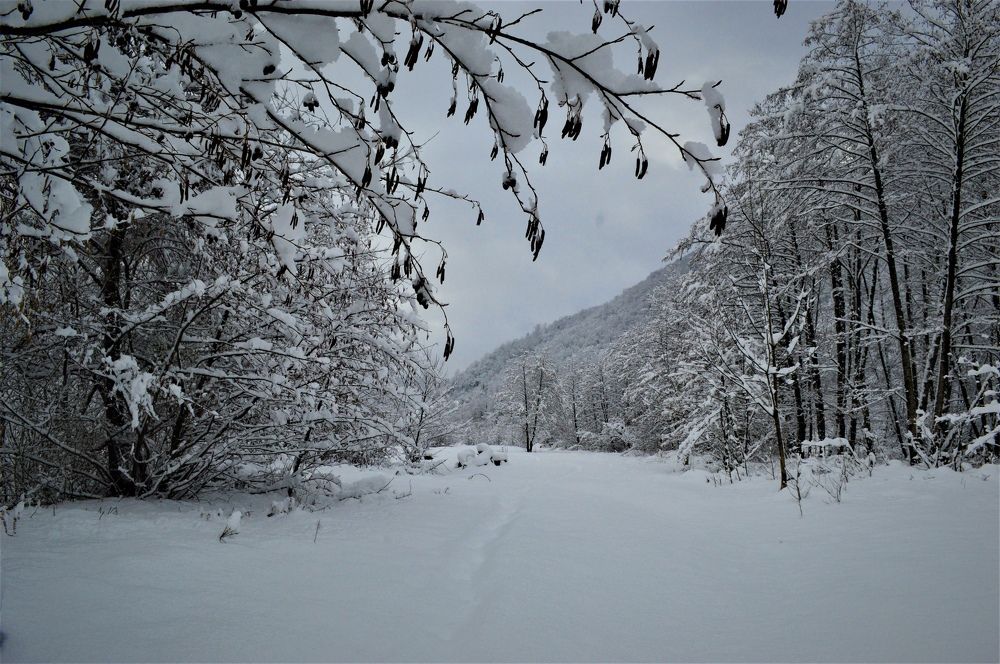 Photograph by Ольга