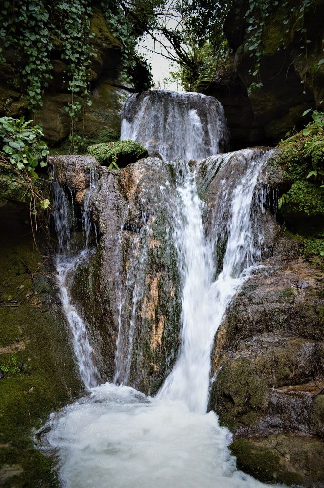 Photograph by Ольга