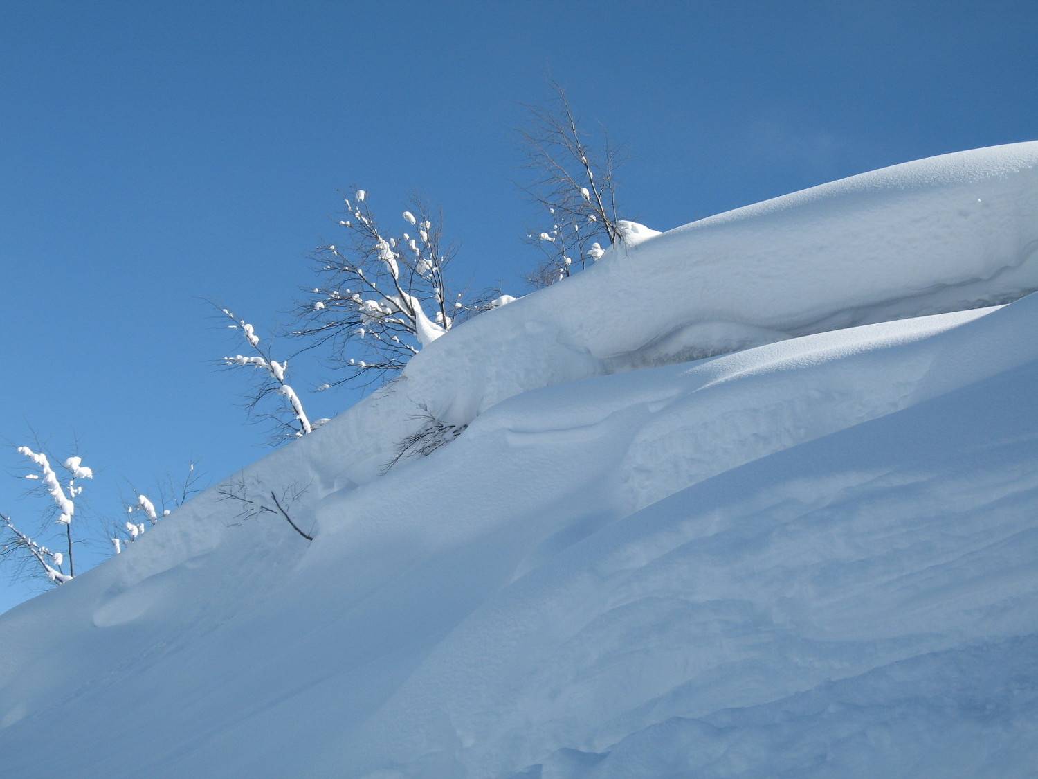 Photo #7026118