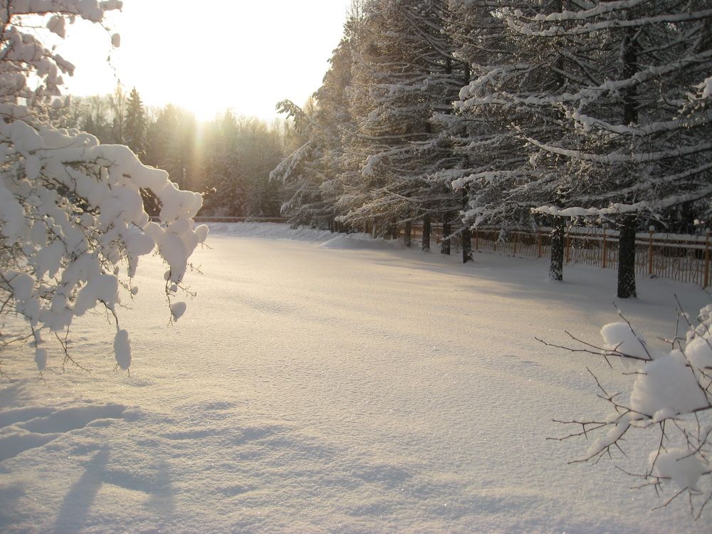 Photo #7026129