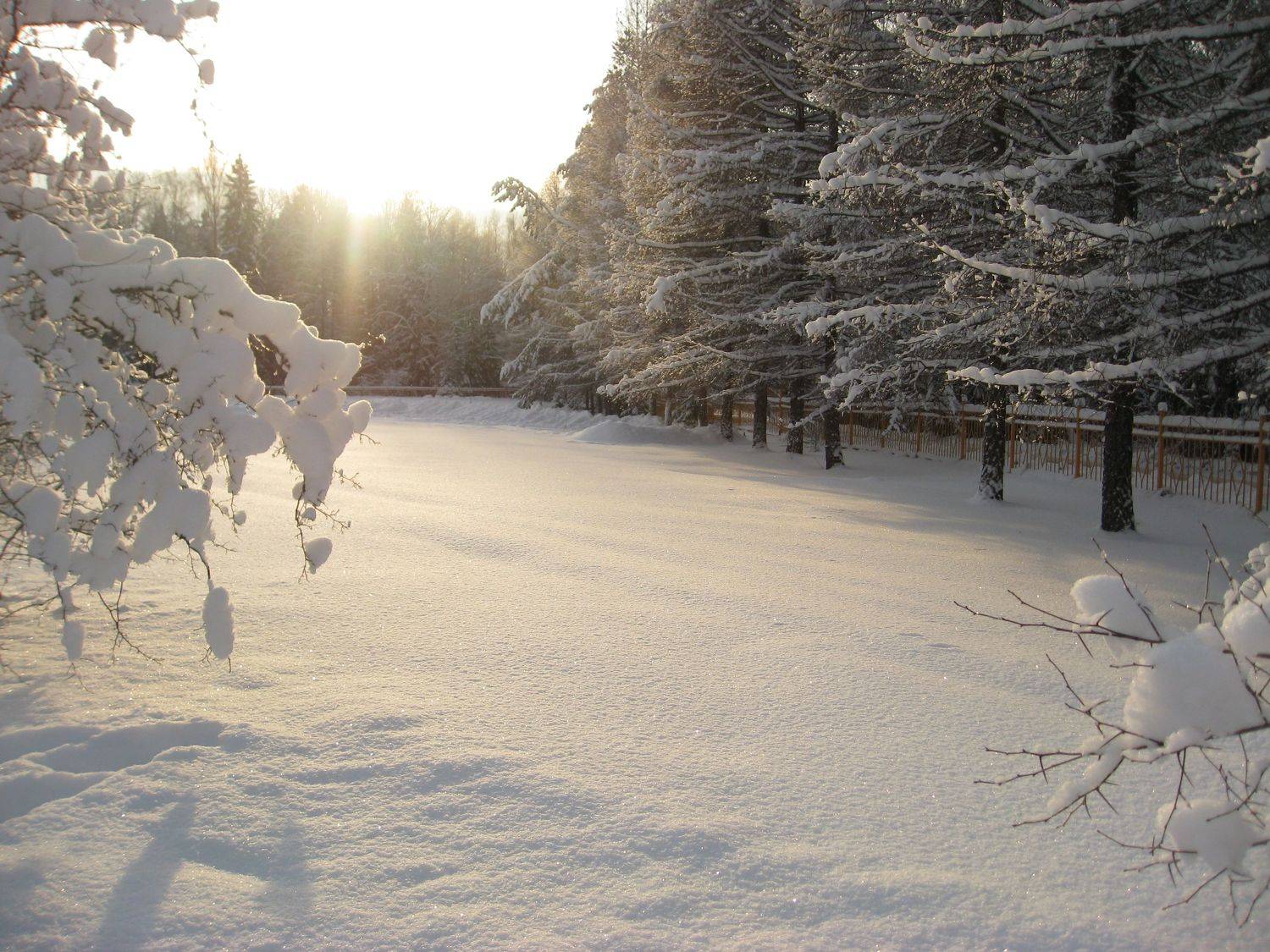 Photo #7026129