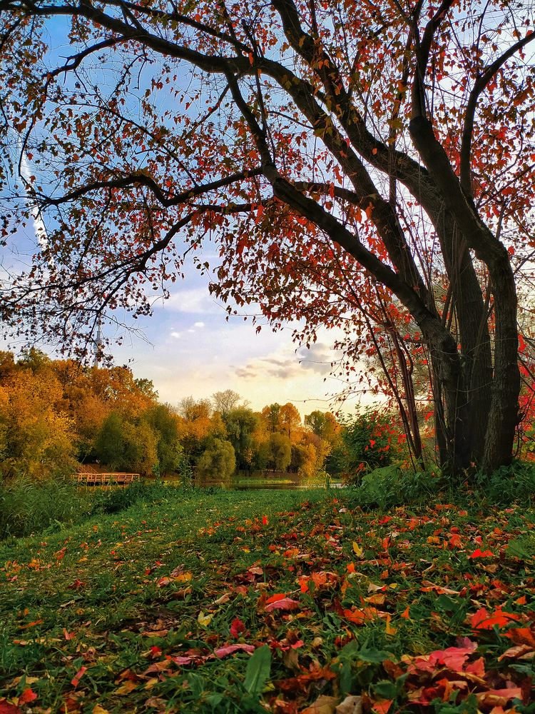 Осень в Ботаническом саду