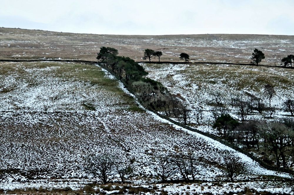 Photograph by Aneta Kicia