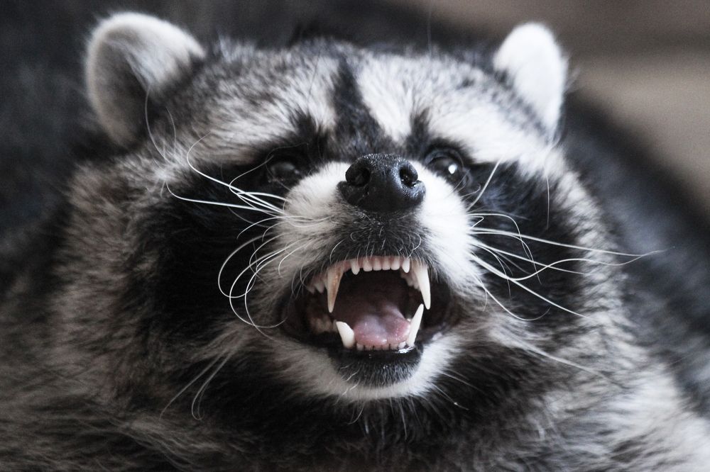 Photograph by Елена Верховская