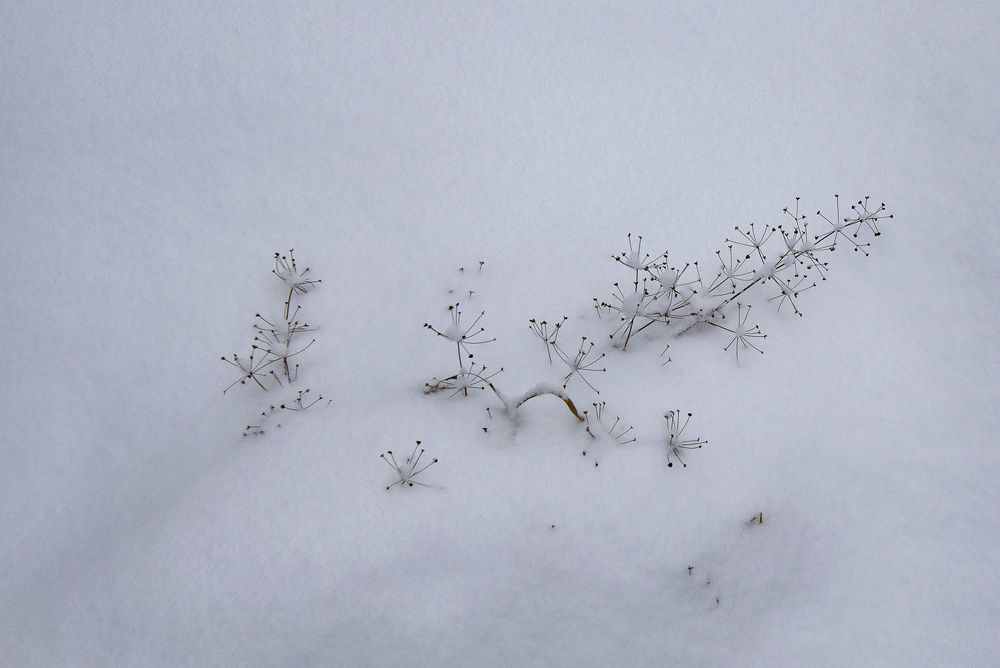 Photograph by Грашин Игорь Алексеевич