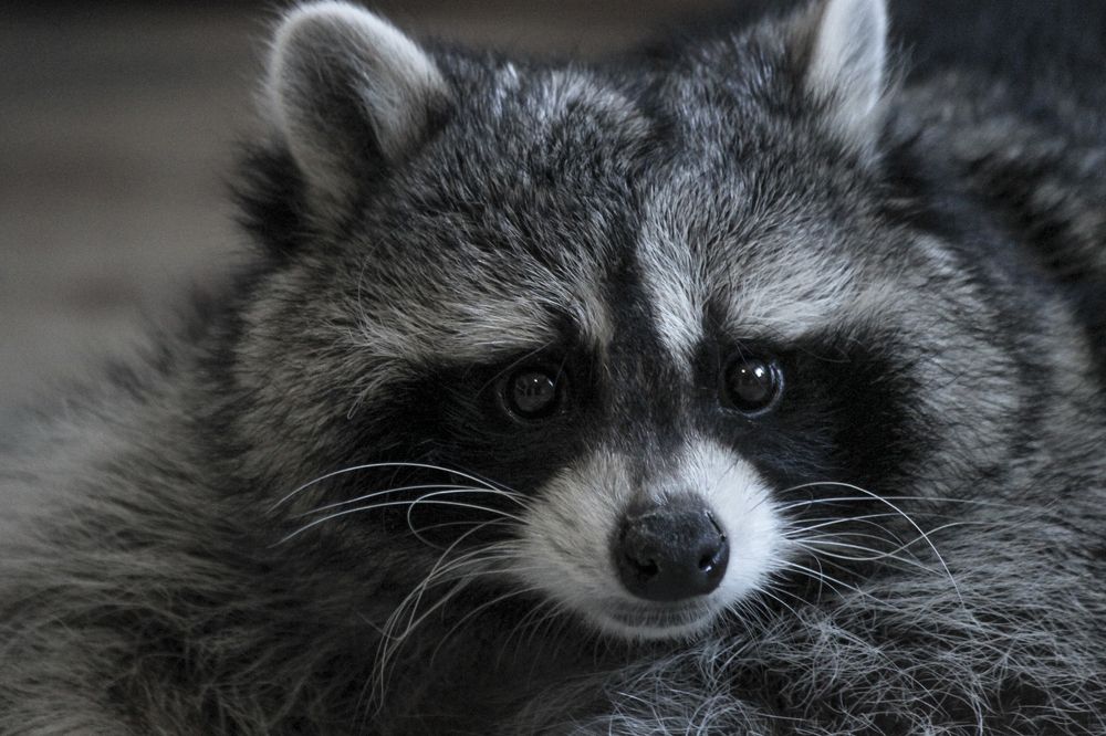 Photograph by Елена Верховская