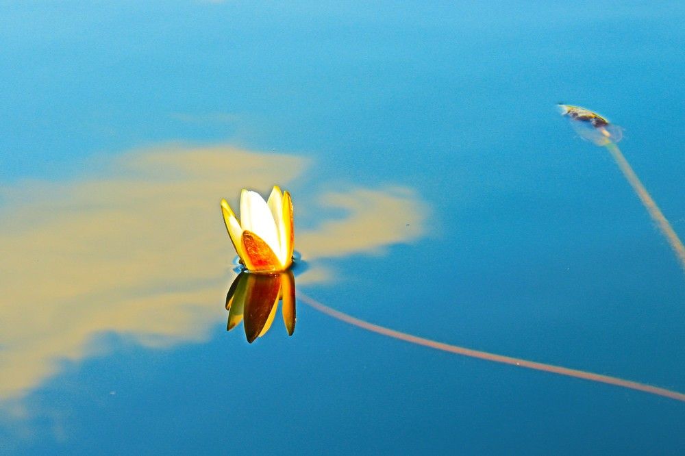 Photograph by Родосская Нонна