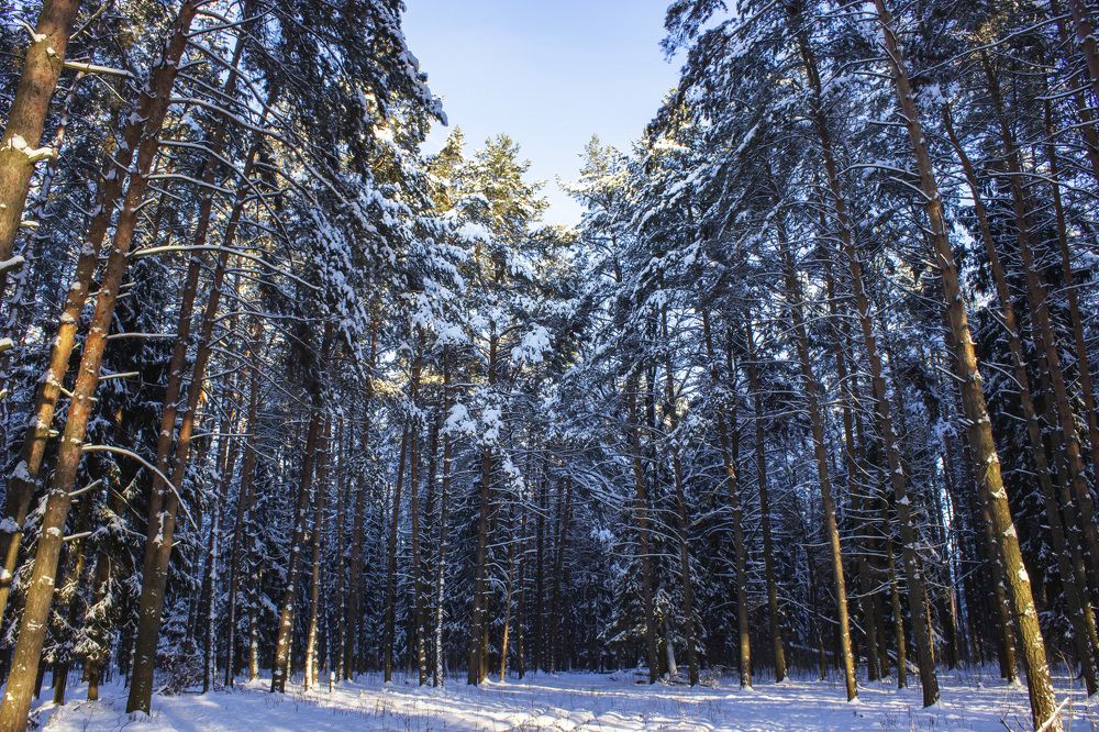 Photograph by  Vladimir