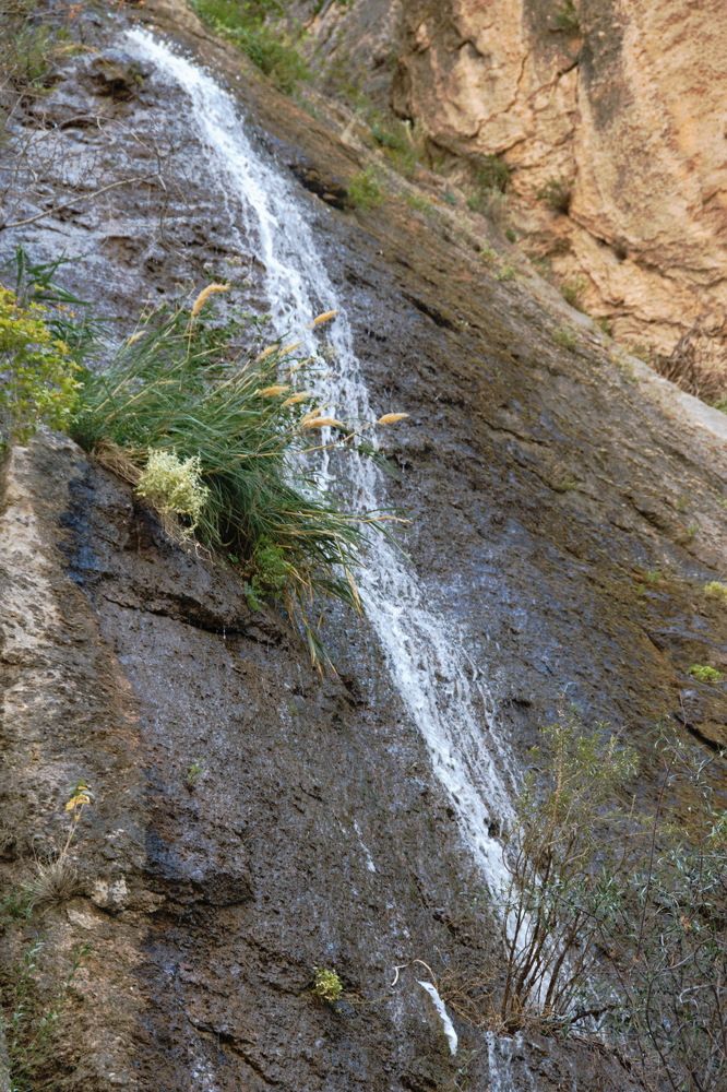 Photograph by Galina Leskova