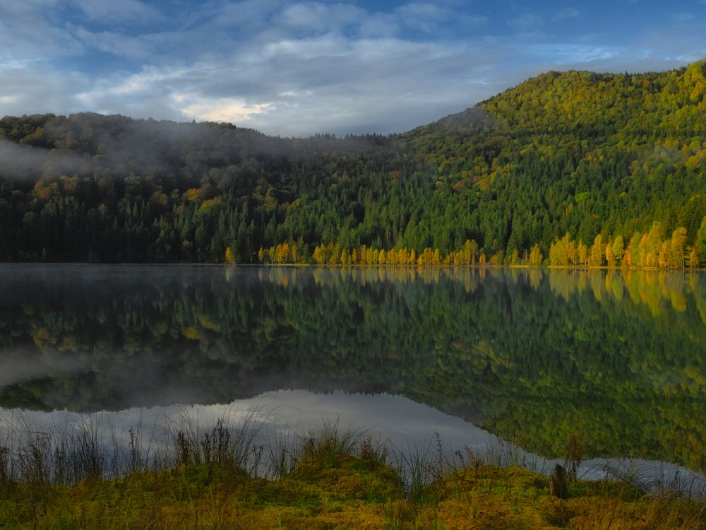 Photograph by Adrian Adi Gli