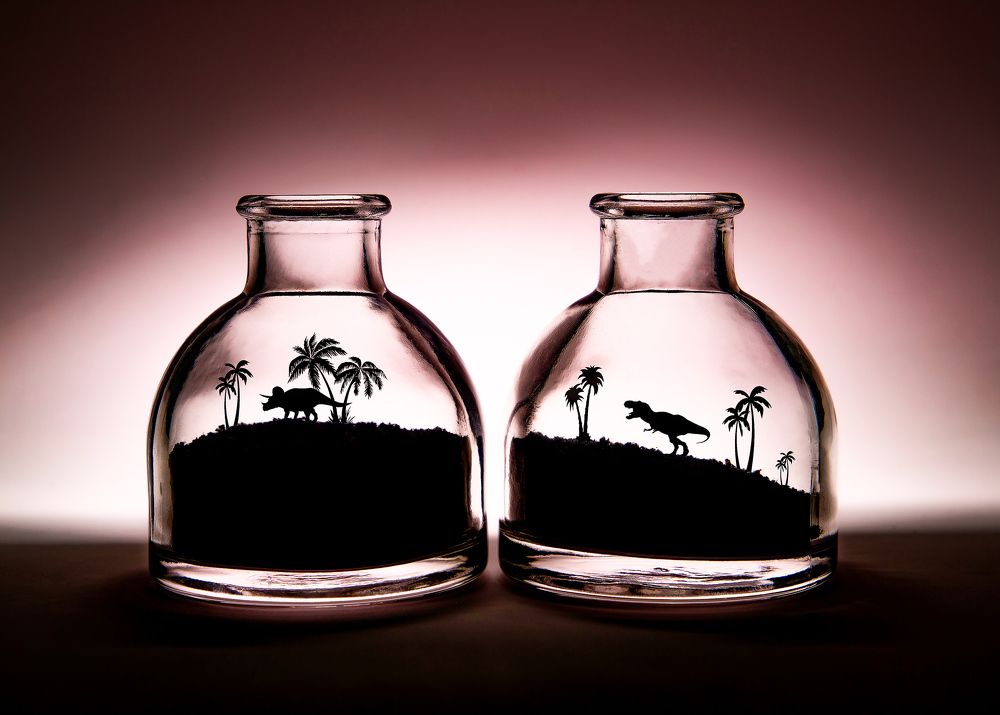 Photograph by 