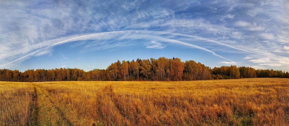 Безмятежность