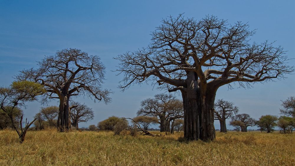 Photograph by Андрей Панин