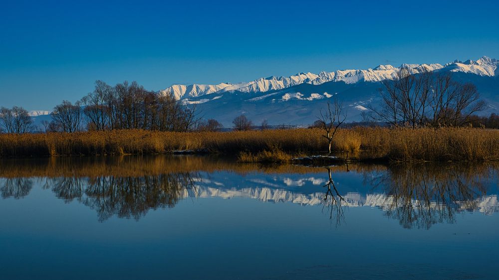 Photograph by Adrian Adi Gli