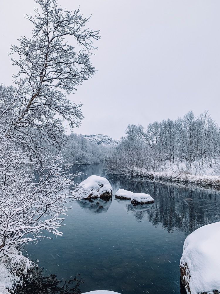 Photograph by Мария Василенко