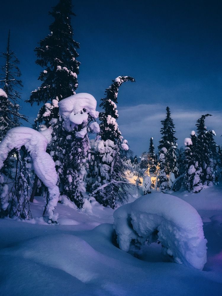 Photograph by Мария Василенко