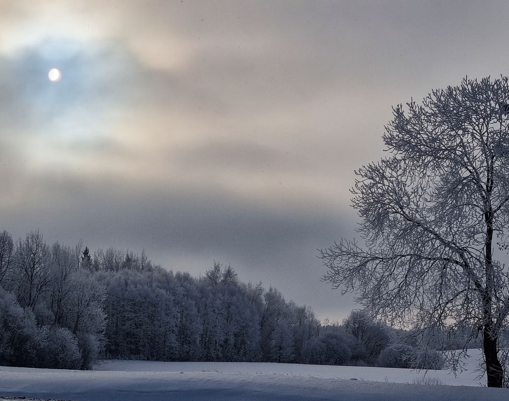 Photograph by Алиса