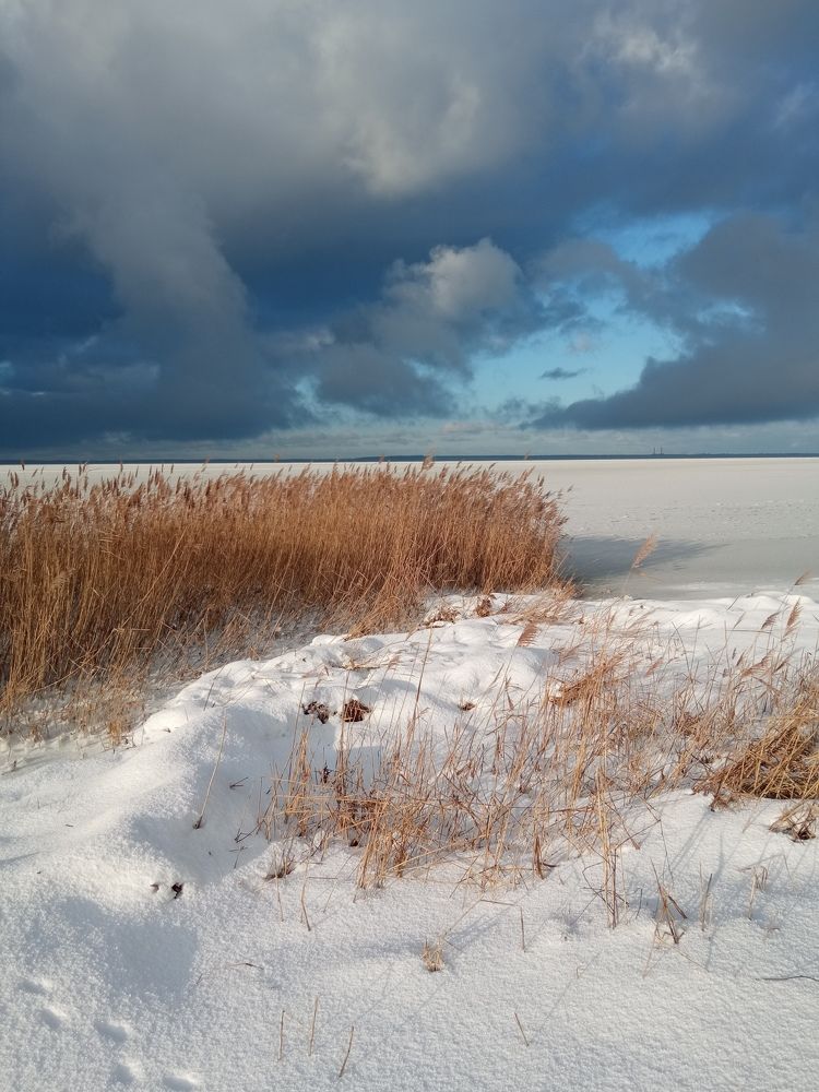 Photograph by Елена Титарева
