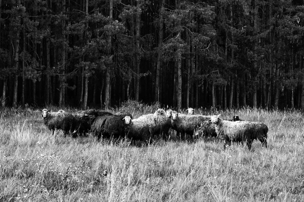 Photograph by Нина