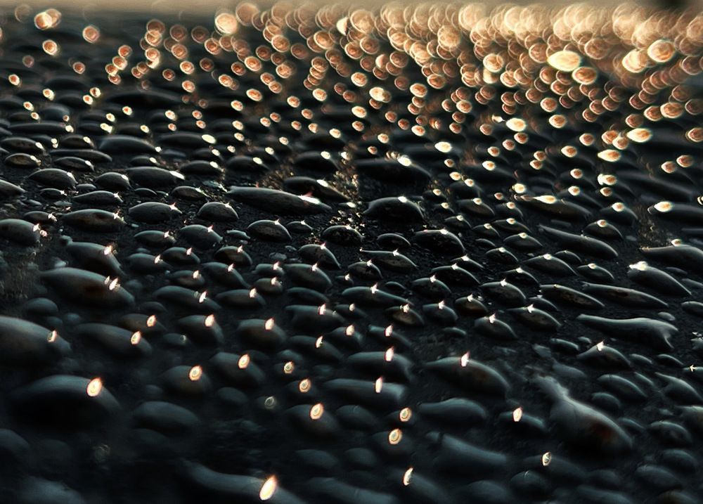 Photograph by mohammad mahmoodpoor