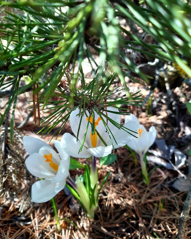 Photograph by Татьяна